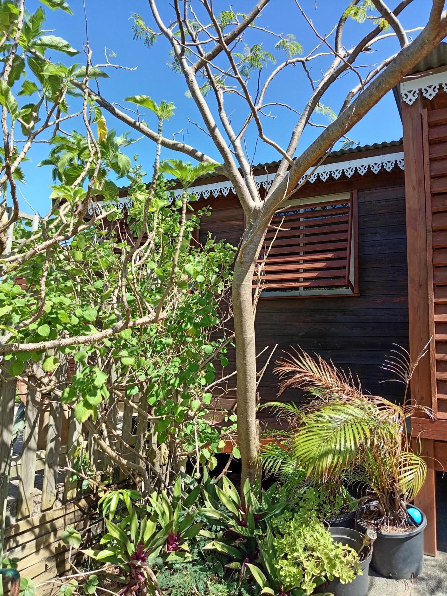 فيلا Location Bord Ocean, Holi-Wood سانت-جوزيف المظهر الخارجي الصورة